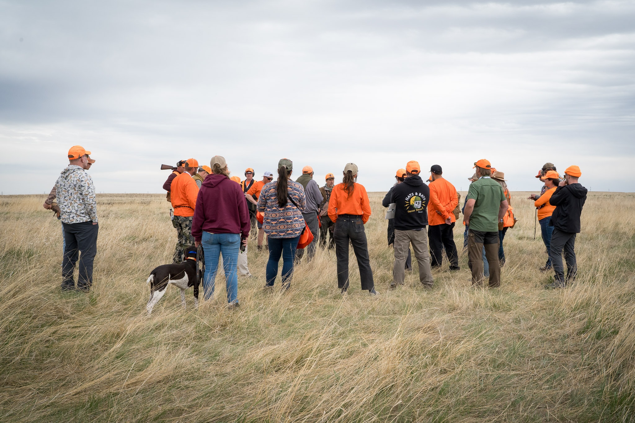 NAVHDA participants and hunting dogs gathered for field instruction