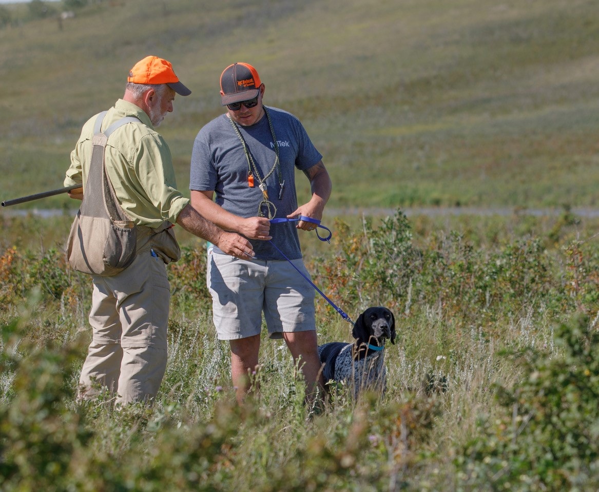 NAVHDA field training with a handler and hunting dog