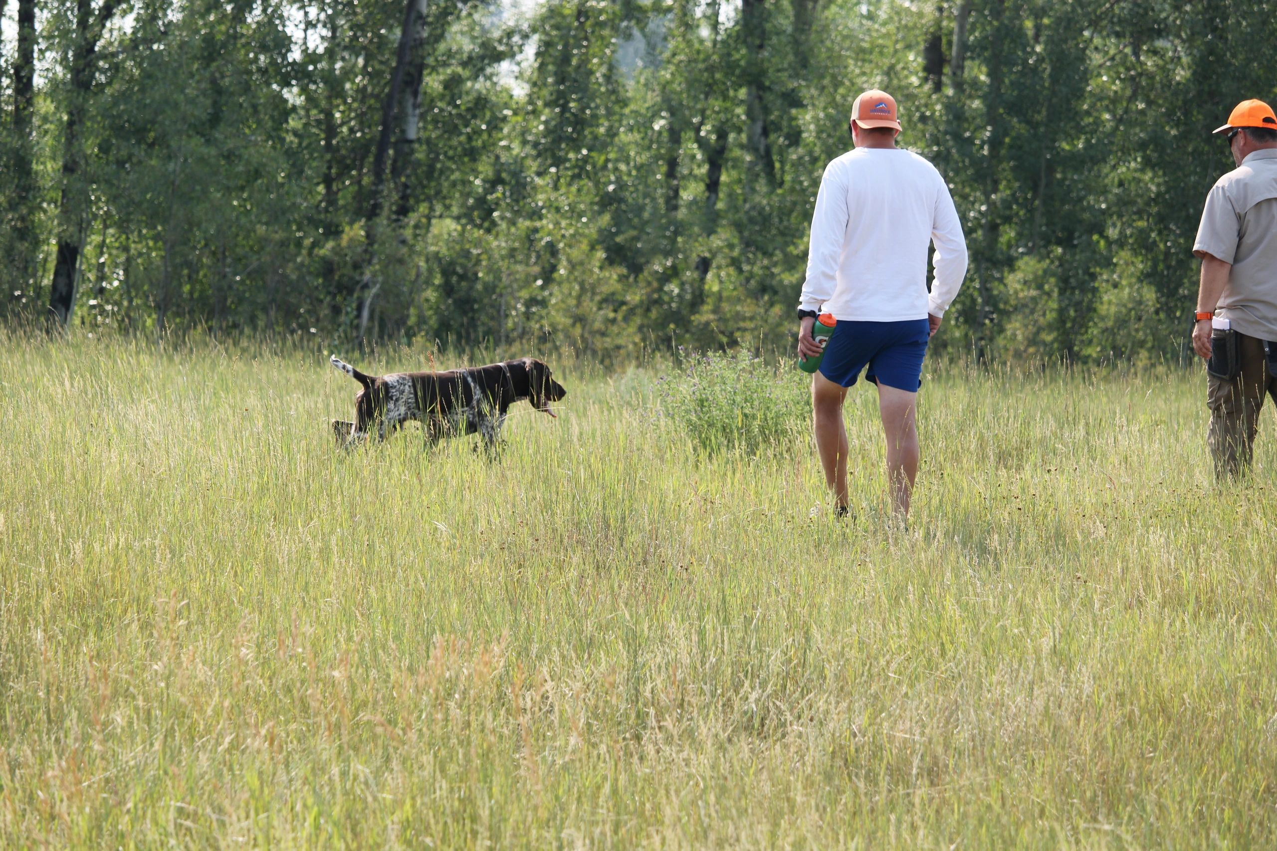 Pre-Season Follow-Up Session